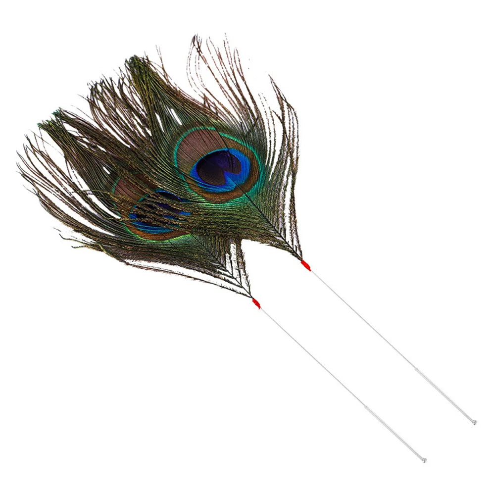 Silver Needle Peacock Feather Ear Dig Tools Earpick Cleaner Stick Sweeping Wax Remover Face Facial Soothing Brush Message