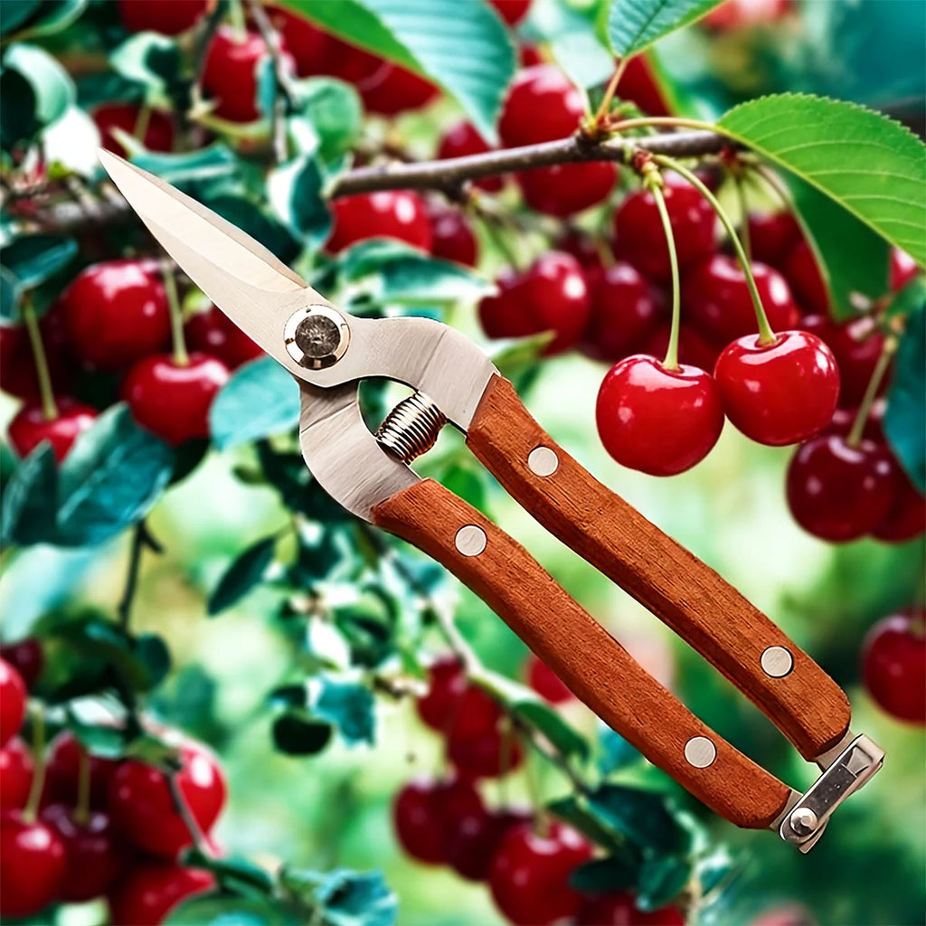 Stainless Steel Garden Pruners, Wooden Handle Bypass Shears