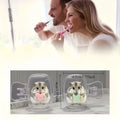 2pcs Cute Hamster Toothbrush Head Covers Portable Storage Box Toothbrush Protector Rack Daily Use And Outdoor Trips Party Gifts