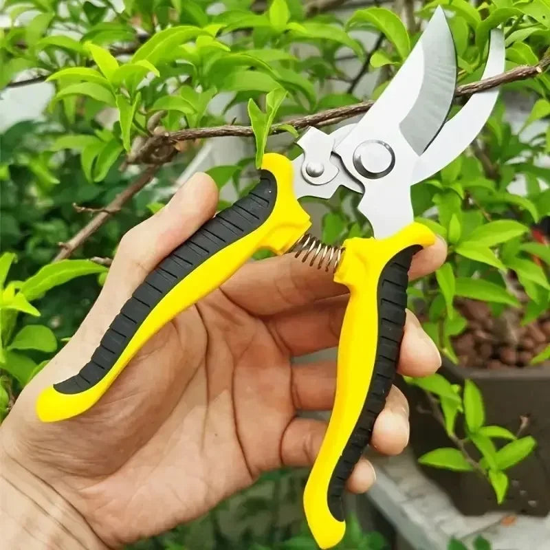 Stainless Steel Gardening Shears, Multi-Purpose Pruner for Trimming, Fruit Picking & Grafting, Sharp & Durable Tool