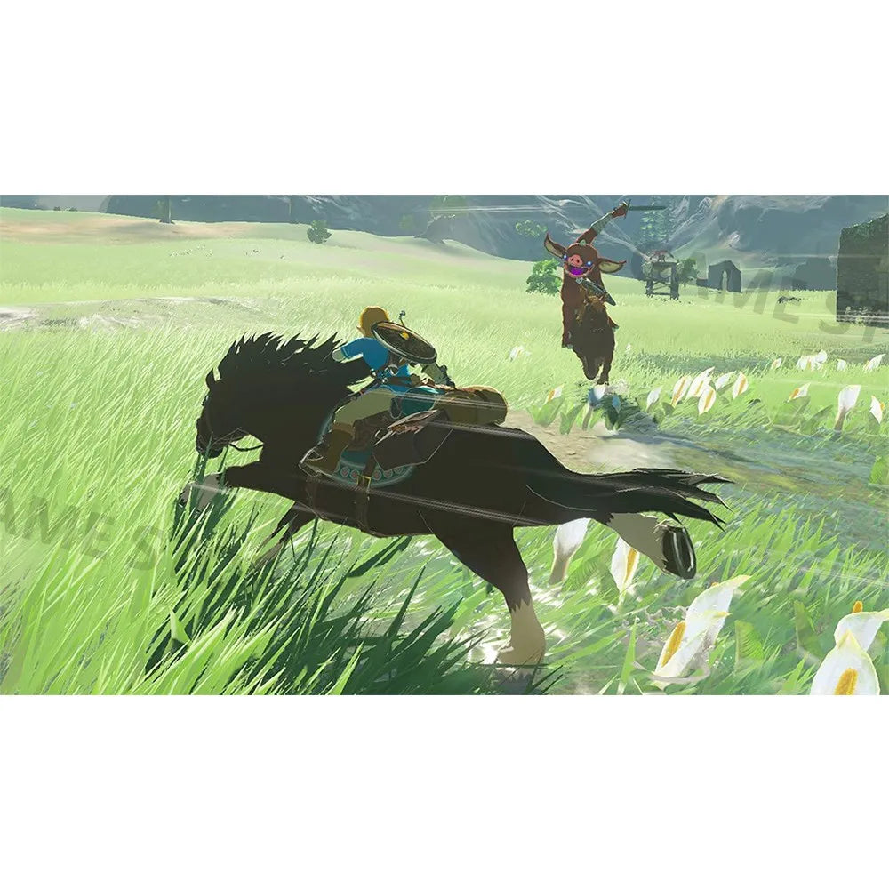 Nintendo Swtich - The Legend of Zelda Breath of the Wild - Game Deals Games Cartridge Physical Card