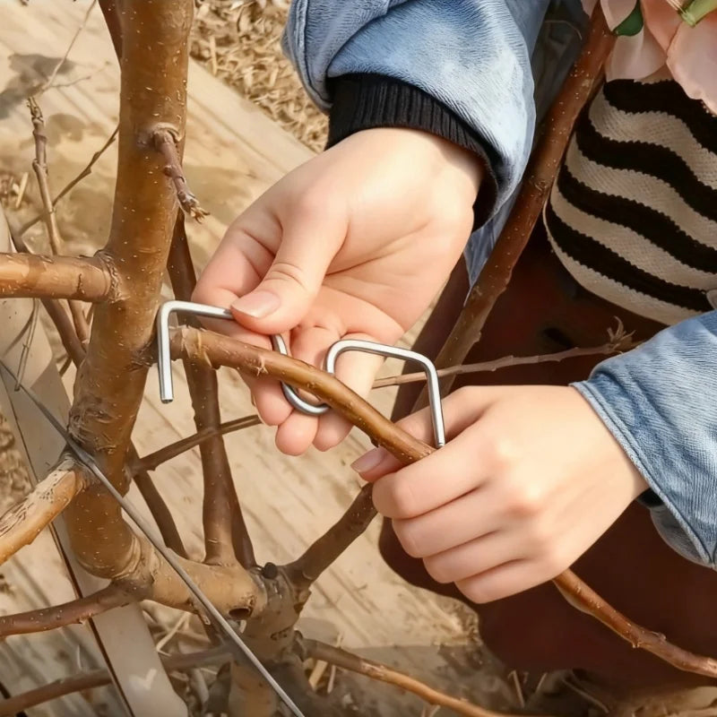 50/100Pcs Tree Branch Benders, Reusable Fruit Limb Spreader, Manual Shaping Fixing Tool for Orchard Gardening, No Power Required