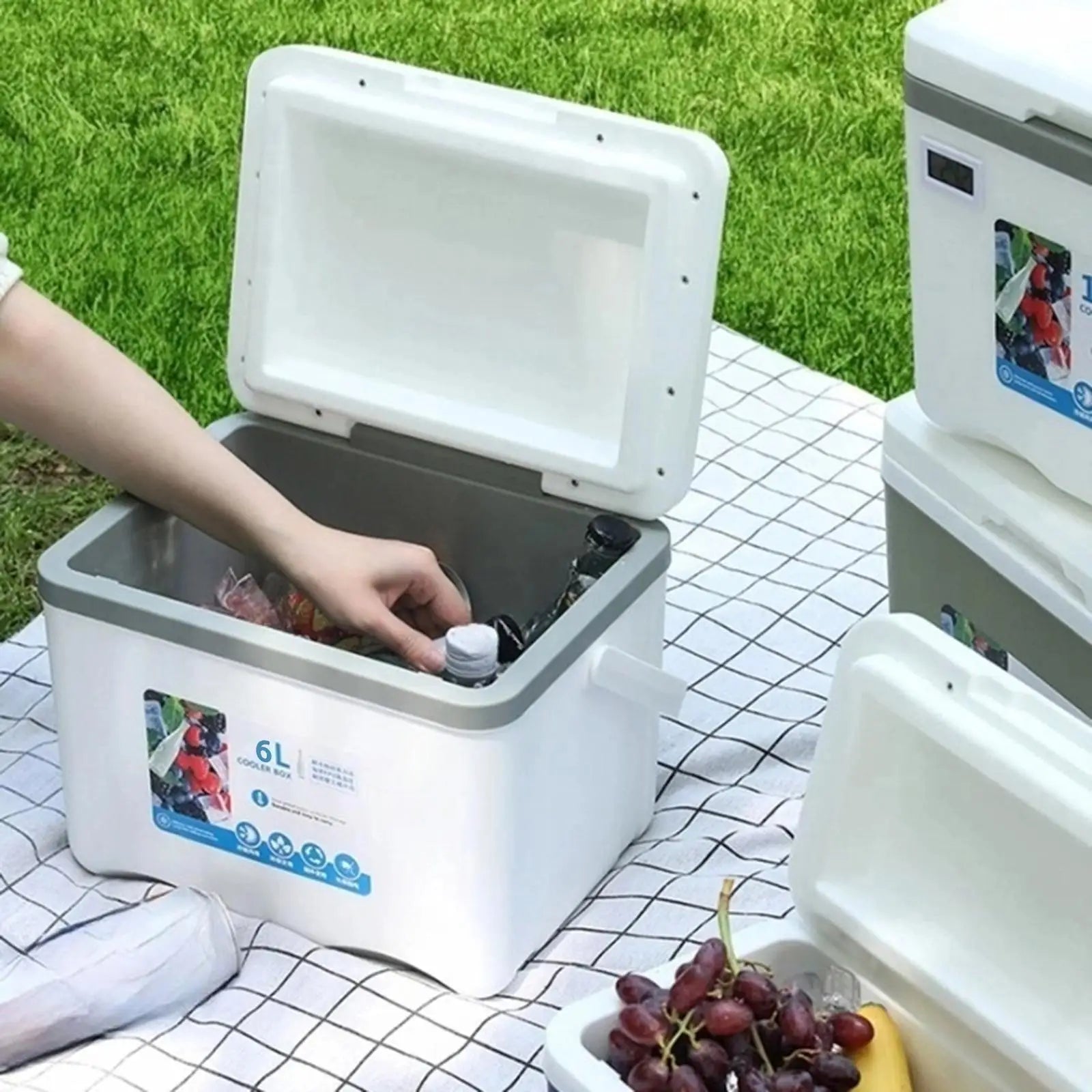 Cooler Box 6L Cold Storage Personal Portable with Handle Insulated Box Ice Chest Small for Stall Beach Camping Commercial Food