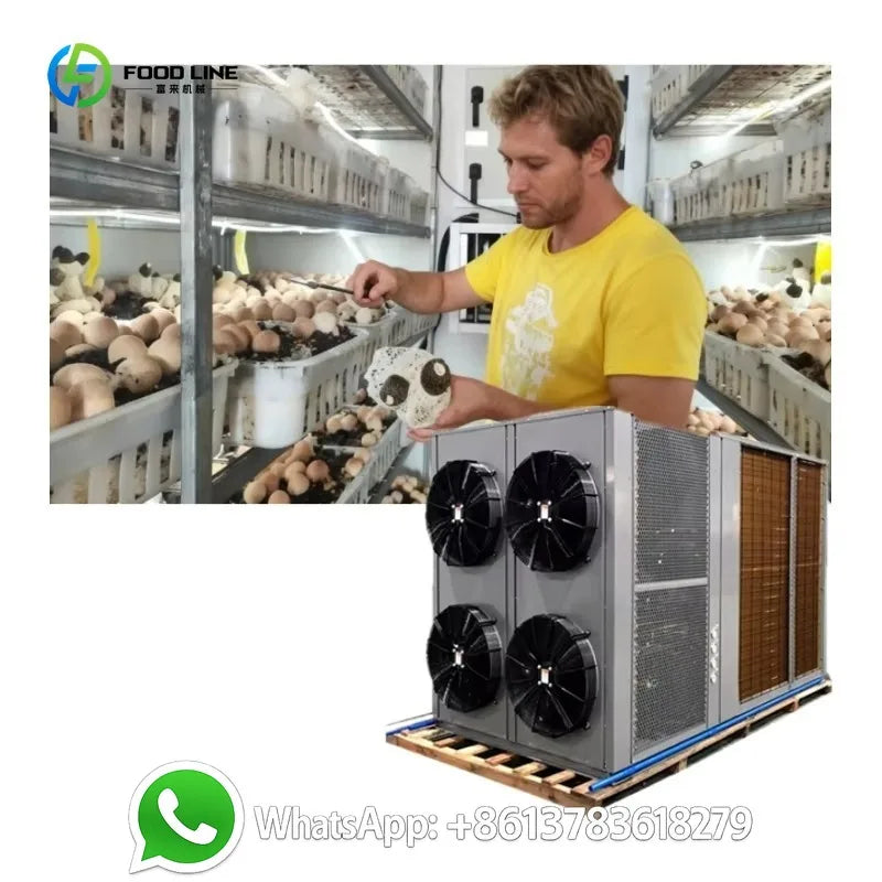 Customized 40ft Steel Smart Mushroom Farm Motor Driven Automated Climate Control High Yield Bag Cultivation Indoor Agriculture