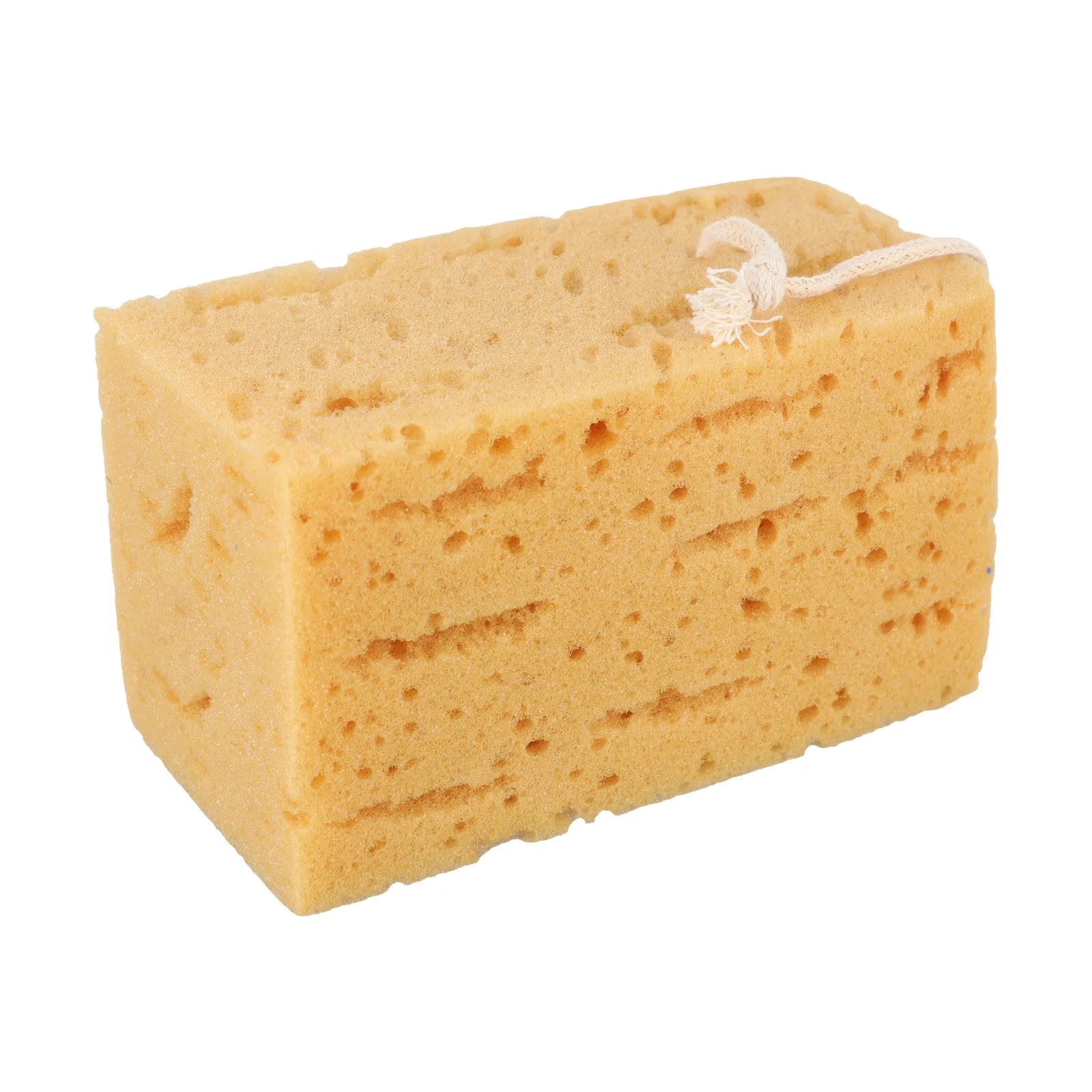 Coral Material Sponge Car Washing Sponge Versatile Usage High Absorption Capacity Large Size Efficient Cleaning Tool