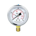 MAIRUIKE Glycerin Filling Pressure Gauges 62.5mm(2.5 inch) 1mpa Stainless Steel Case  Brass Joint Manometer for Water Oil  Gas