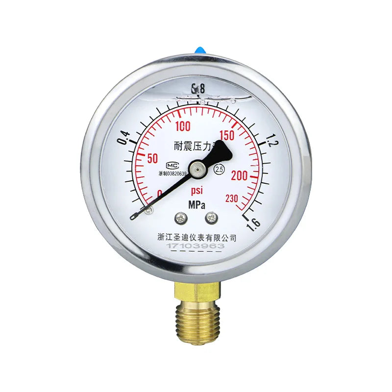 MAIRUIKE Glycerin Filling Pressure Gauges 62.5mm(2.5 inch) 1mpa Stainless Steel Case  Brass Joint Manometer for Water Oil  Gas