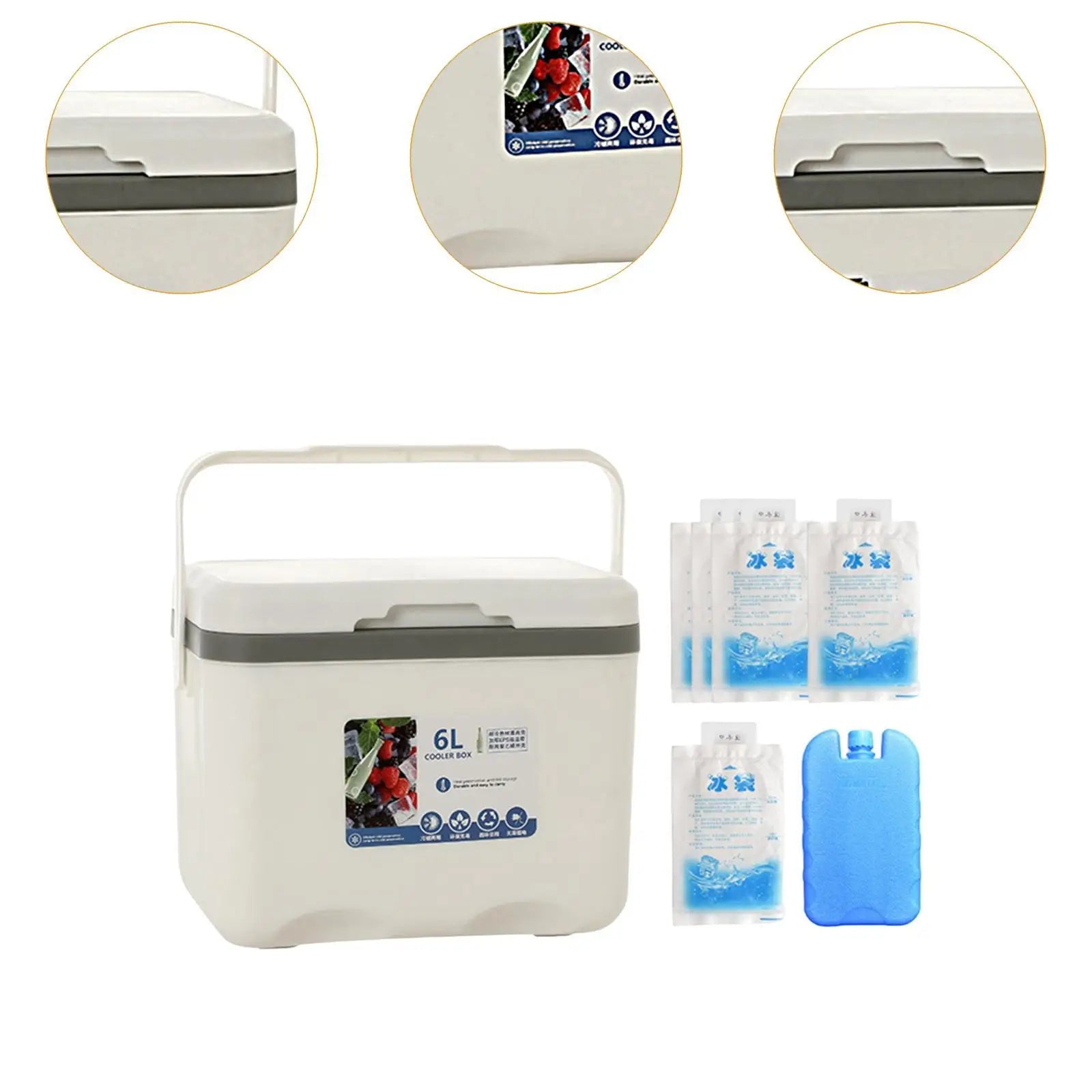 Camp Cooler, Ice Box Chest, 6 L with Handle Portable Cold Storage Case with Ice
