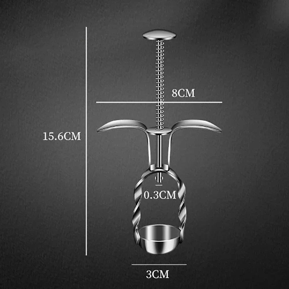 Hot Stainless Steel Cherry Olive Pitter Red Dates Jujube Core Remover Tools Multipurpose Fruit Corer Pit Kitchen Gadget Tools