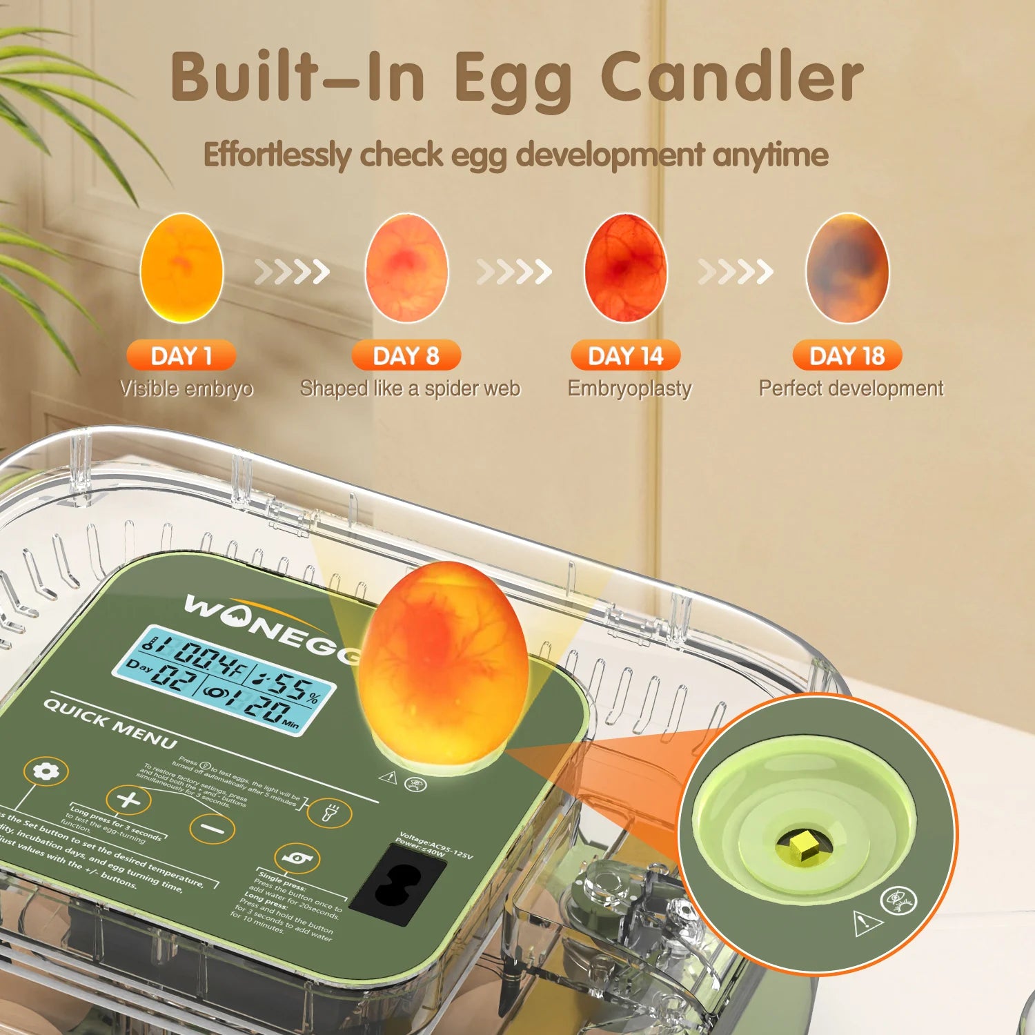 12 Eggs Incubator For Hatching Eggs, Temp And Humidity Control, 360°View Auto Water Adding, Egg Candler Egg Turning Countdown Ha