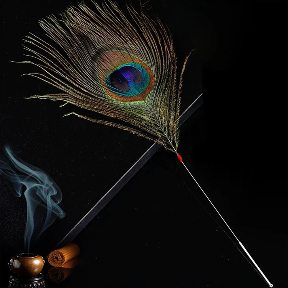 Silver Needle Peacock Feather Ear Dig Tools Earpick Cleaner Stick Sweeping Wax Remover Face Facial Soothing Brush Message