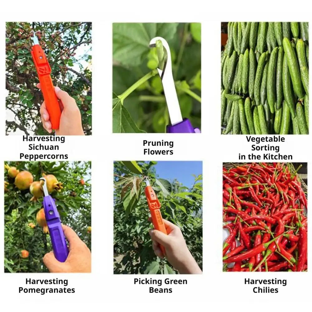 Mini Pruner Portable Pruning & Fruit-Picking Snips With Protective Flip Cover, Pepper Scissors Harvesting Tool For Grapes Fruits