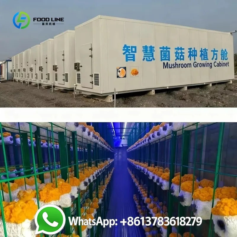 Customized 40ft Steel Smart Mushroom Farm Motor Driven Automated Climate Control High Yield Bag Cultivation Indoor Agriculture