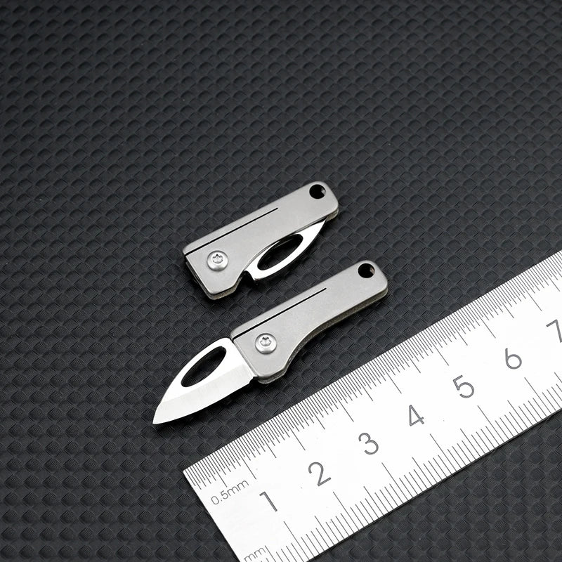 Mini D2 Steel Folding Pocket Knife Outdoor Self-defensee Folding Knifes Keychain Multitool Pocket Keyknife Camping Equipment