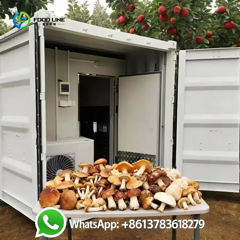 Customized 40ft Steel Smart Mushroom Farm Motor Driven Automated Climate Control High Yield Bag Cultivation Indoor Agriculture