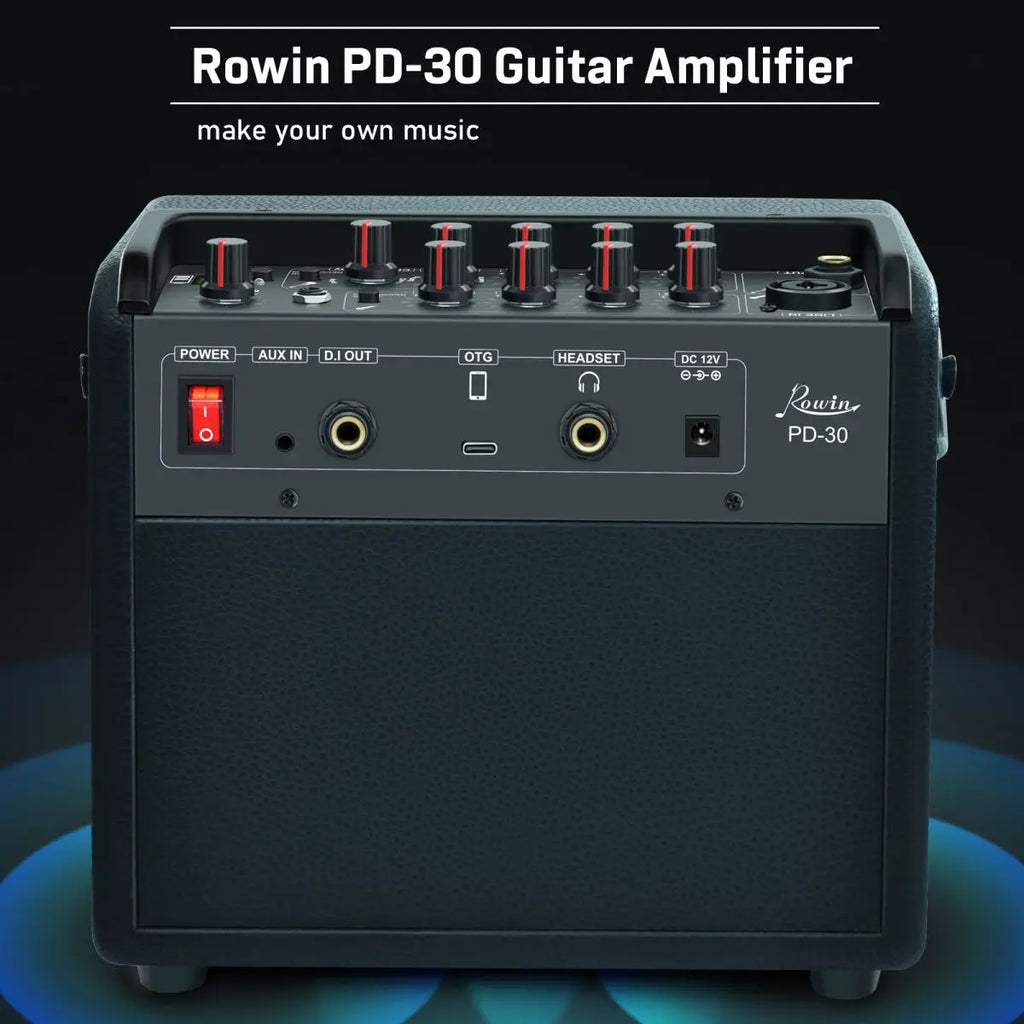 Rowin 15W PE-10S 30W PD-30 Bass Guitar Amplifier Multi-Function OTG BT Battery Buildin Combo Amp Reverb Chorus Multi effect