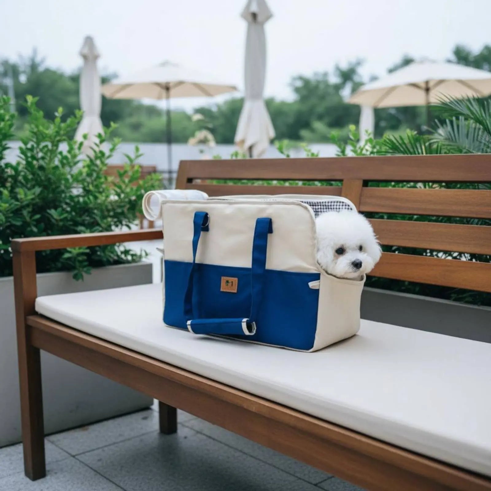 Pet Shoulder Carrier Car Seat Friendly Portable Dog Carrier Feline Travel Tote Lightweight Small Dog Tote Bag Adjustable Strap