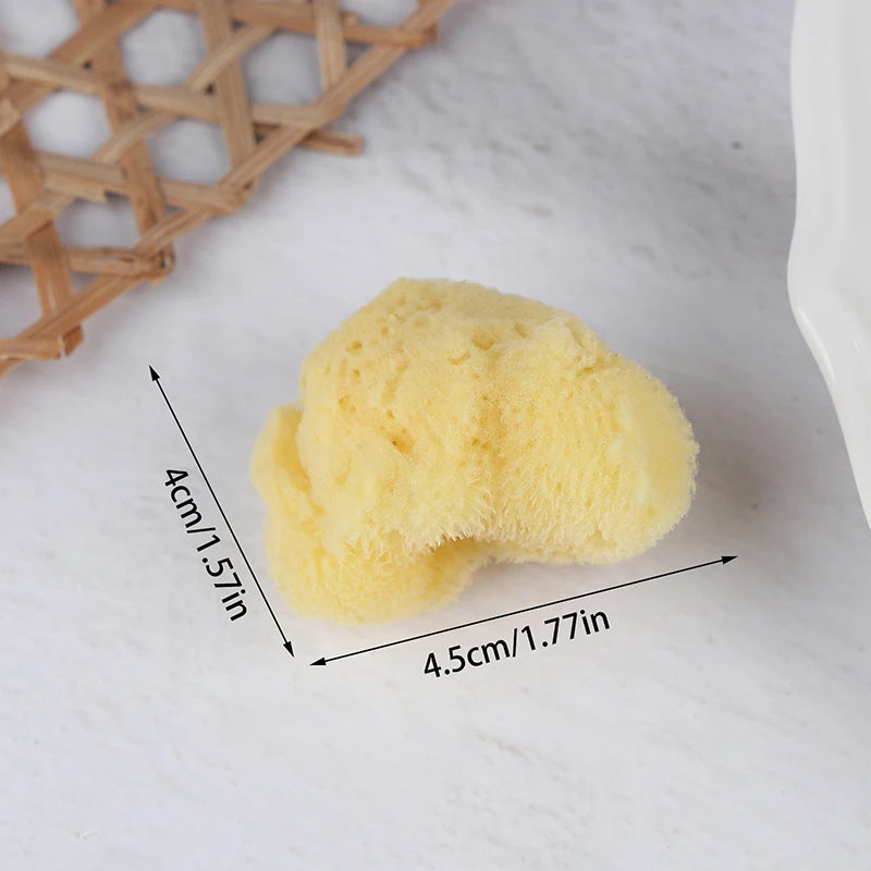 Special Texture Production Cleaning Tool Natural Greek Sponge Watercolor Painting With Absorbent Sponge Wiping Pen Painting
