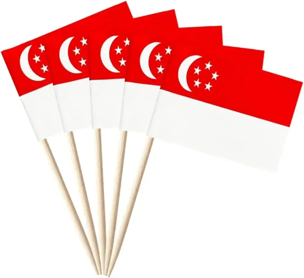 Brazil Flag Toothpick Flags Picks, 100Pcs Small Tiny Brazil Cupcake Toppers Stick Flags National Day, Birthday Party Decorations
