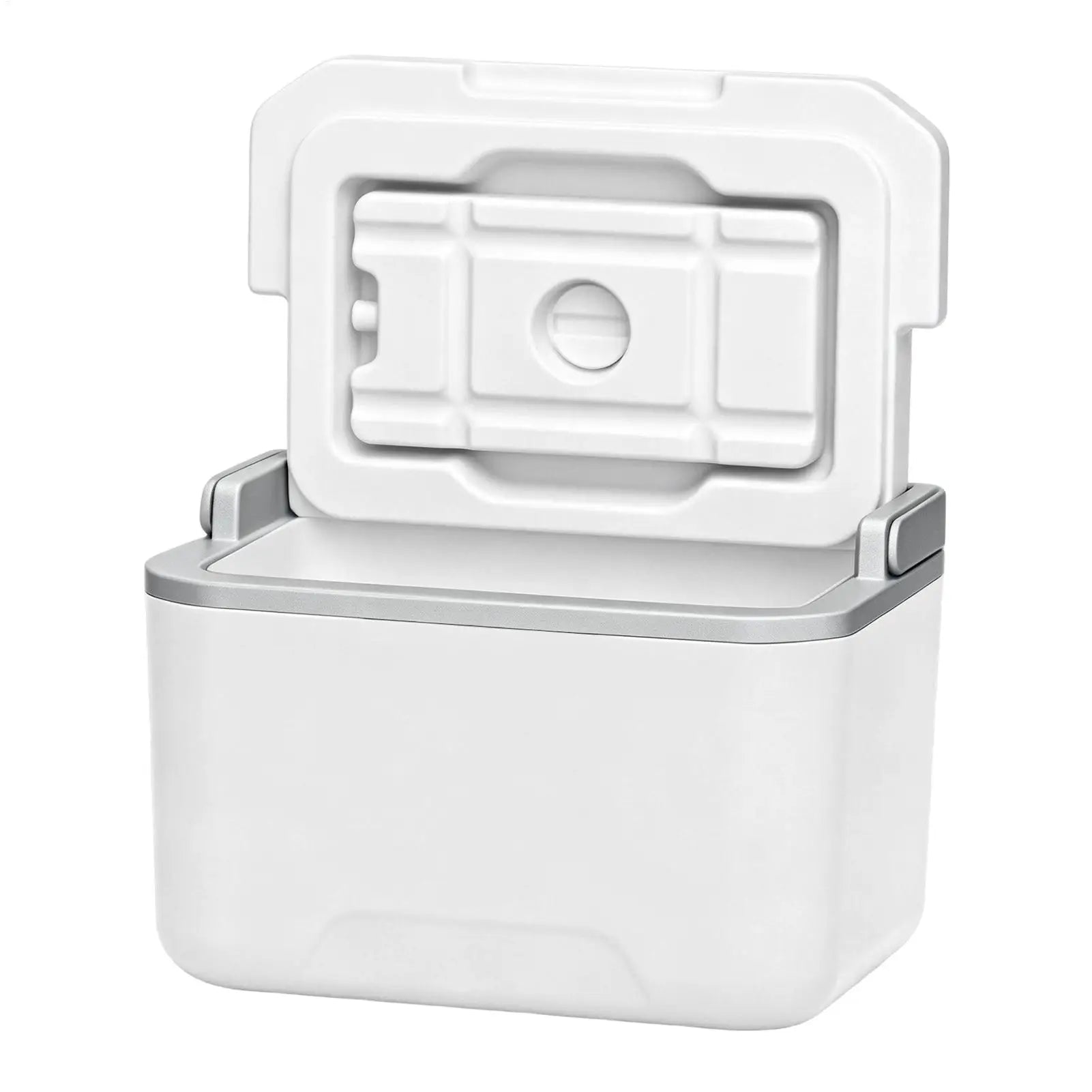 Camping Ice Cooler With Handle Portable 5L Insulated Ice Boxes Leakproof Hard Sided Coolers Chiller For Camping Picnic Fishing