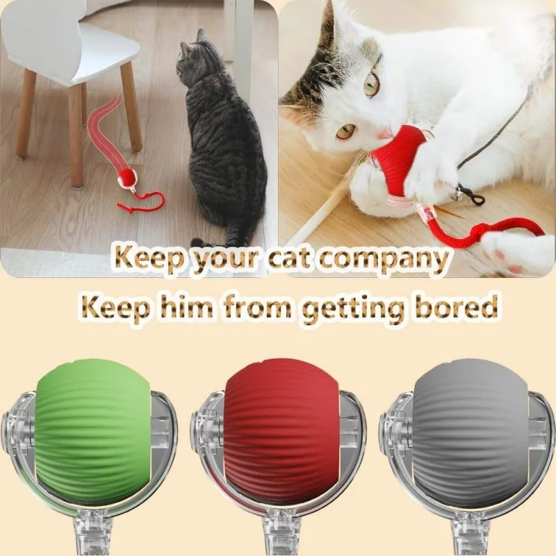 Rechargeable Smart Automatic Rolling Cat Ball Toy Faux Mouse Tail Interactive Electric Pet Toy Indoor Kitten Hunting Self Play