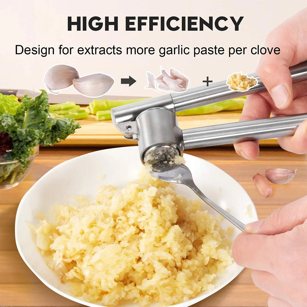 LMETJMA Garlic Press 304 Stainless Steel Garlic Press Mincer Rust Proof Garlic Mincer Heavy Duty Garlic Crusher  JT275
