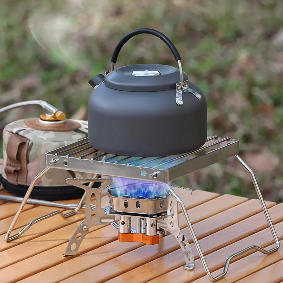 Camp Grill Portable Outdoor Grill Stainless Steel Folding Compact BBQ Camping Hiking Picnics