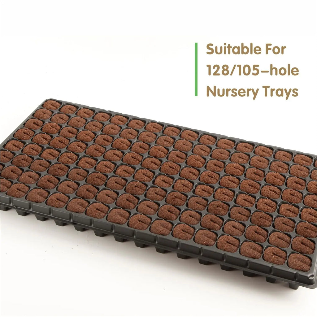 Hydroponic Rapid Grow Rooting Seed Starter Sponges for Orchid Stem-Cutting Plants, Seed Plugs for 105 & 128 Holo Nursery Trays