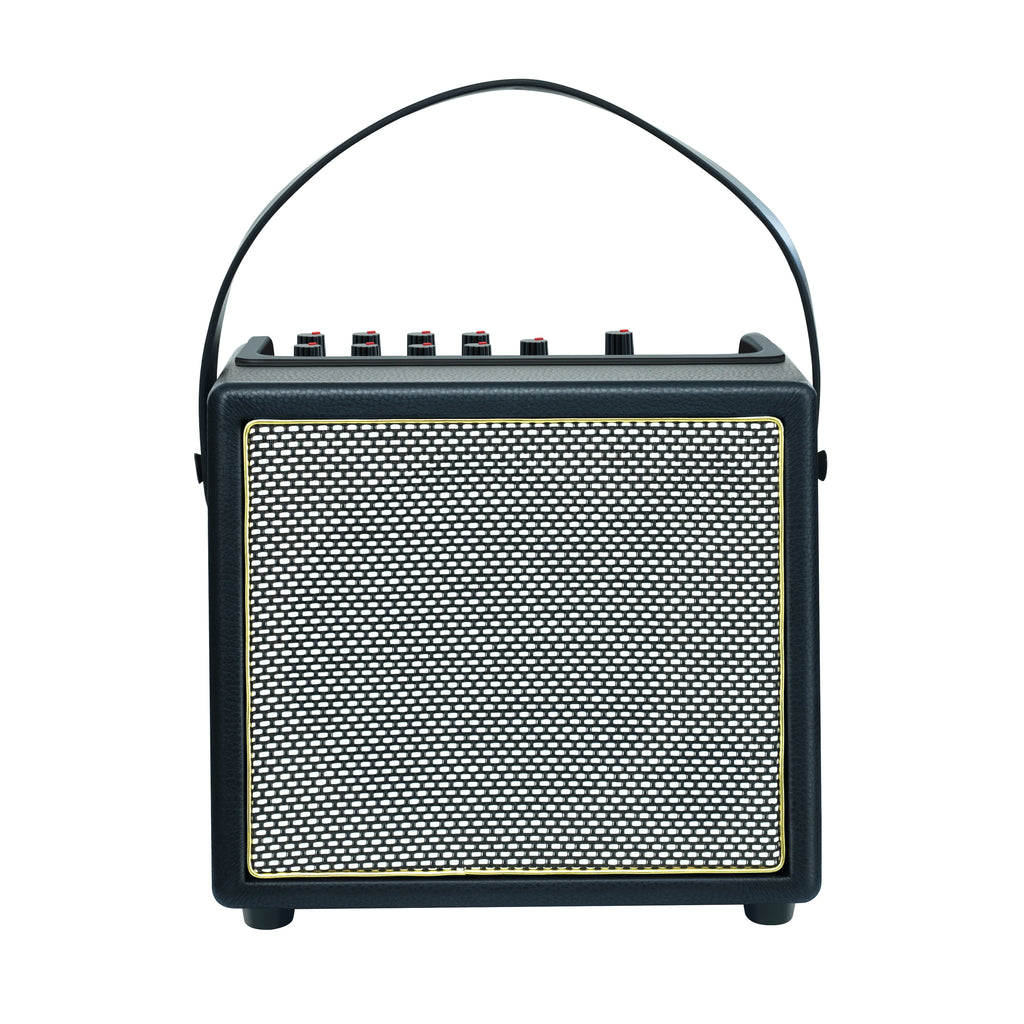 Rowin Acoustic Guitar Amplifier,30 Watt Bluetooth Speaker Rechargeable Battery Acoustic Guitar Amp with Reverb Chorus Effect