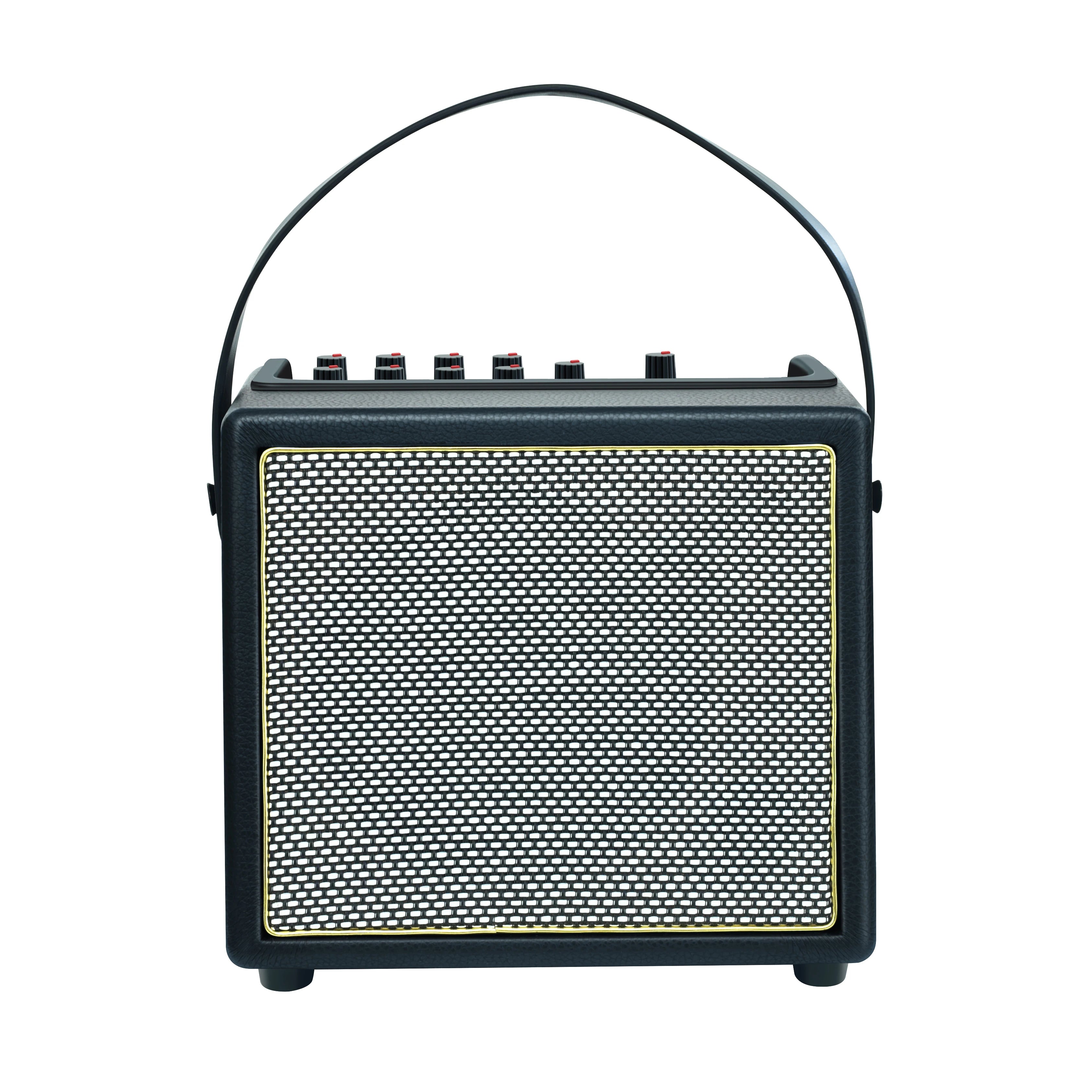 Rowin Acoustic Guitar Amplifier,30 Watt Bluetooth Speaker Rechargeable Battery Acoustic Guitar Amp with Reverb Chorus Effect