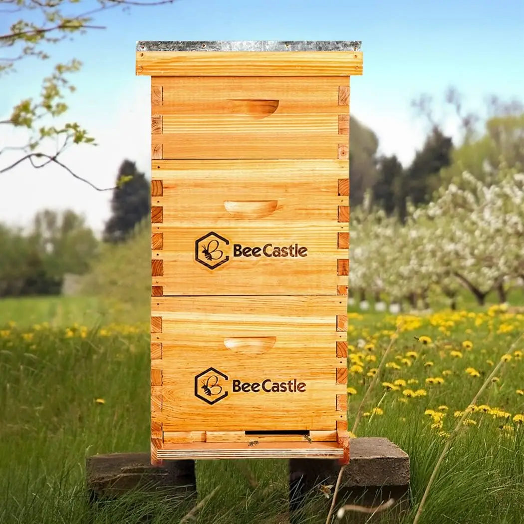 8 Frame Langstroth Bee Hive Coated with Beeswax Includes Beehive Frames and Waxed Foundations (2 Deep Boxes & 1 Medium Box)