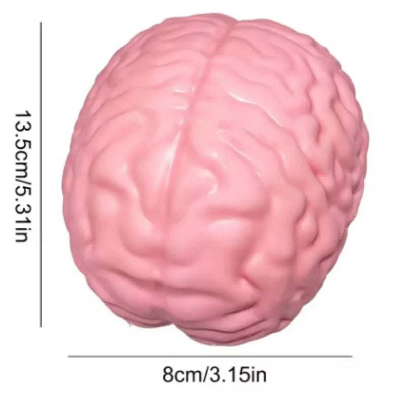 Squishy Jumbo Simulated Brain Fidget Toy Big Brain Model Stress Ball Halloween Prop Squeeze Toy ASMR Anxiety Relief Toys Decor