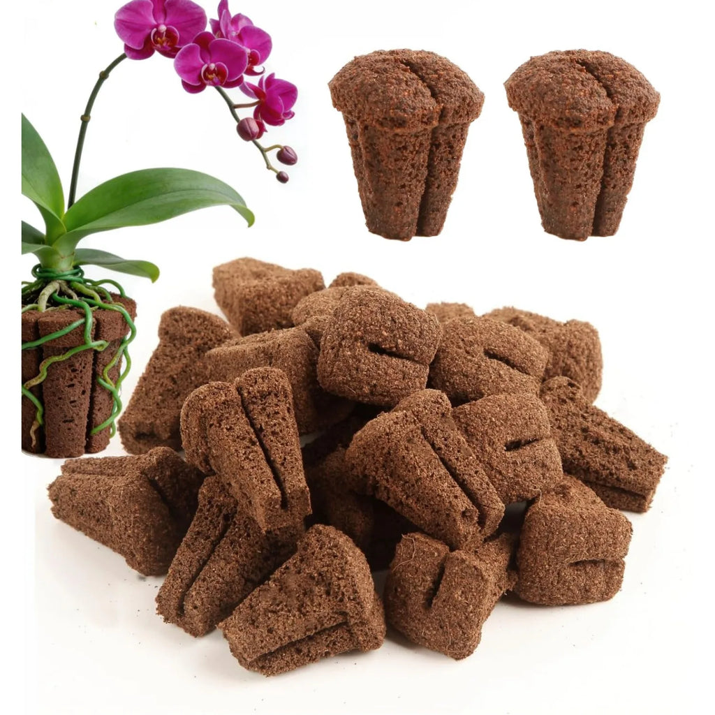 Hydroponic Rapid Grow Rooting Seed Starter Sponges for Orchid Stem-Cutting Plants, Seed Plugs for 105 & 128 Holo Nursery Trays