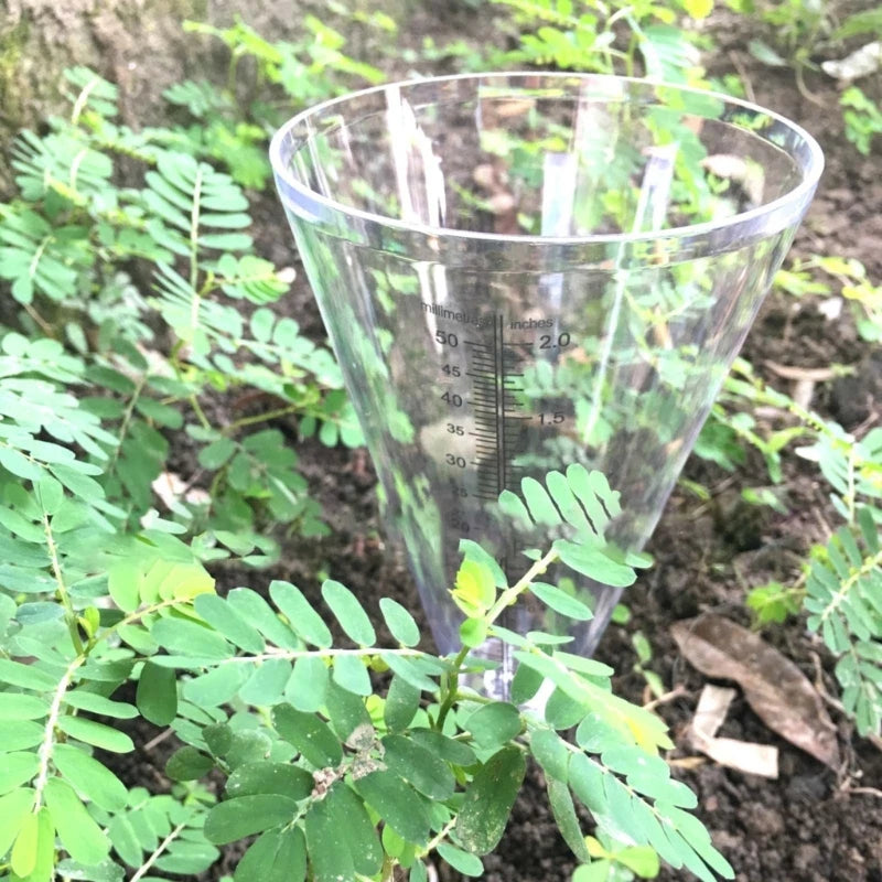 Garden Cone Rain Gauge Transparent Inserted Rain Gauge Equipment for Landscaping Indoor Outdoor Garden Yard Decoration