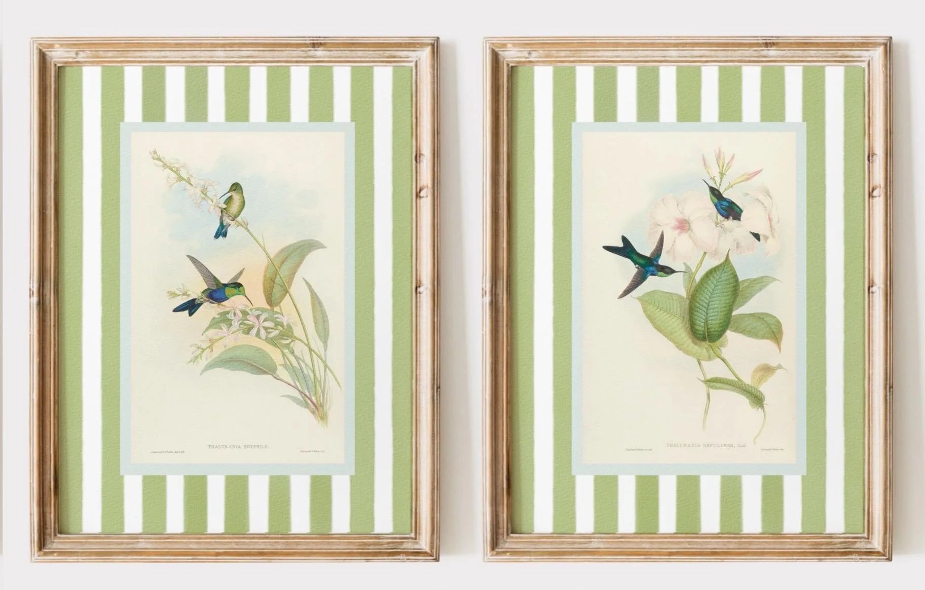 2pcs/set of Retro Hummingbird Animal Canvas Prints Minimalist Retro Bird Farmhouse Wall Art Posters for Living Room Home Decor
