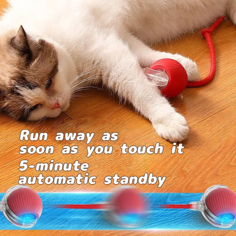 Rechargeable Smart Automatic Rolling Cat Ball Toy Faux Mouse Tail Interactive Electric Pet Toy Indoor Kitten Hunting Self Play