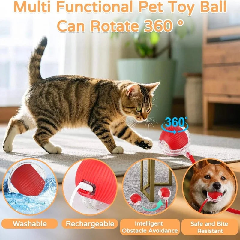Rechargeable Smart Automatic Rolling Cat Ball Toy Faux Mouse Tail Interactive Electric Pet Toy Indoor Kitten Hunting Self Play