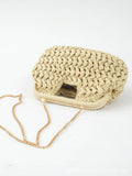 New Hollow Woven Bag Straw Clip Bag for Women Clutch Purse Crossbody Clip Bag Niche Summer