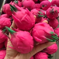 Handmade Crunchy Squishy Onion Stress Ball Squeeze Toy Squishy Fidget Ball ASMR Sensory Stress Relief Toy Relieve stress