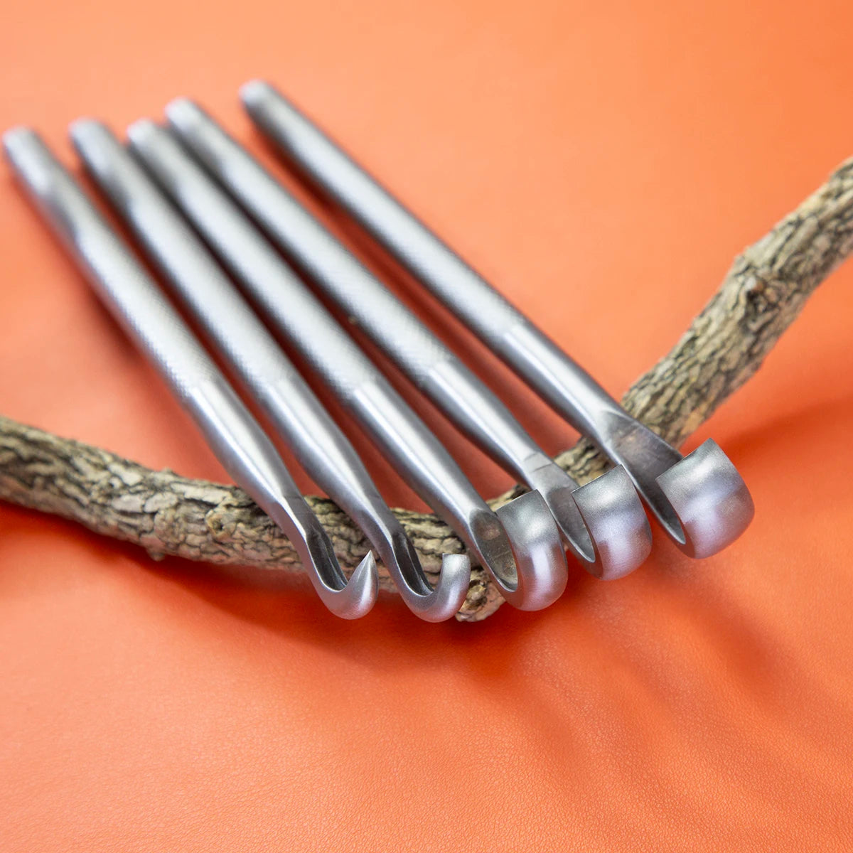 Bonsai Carving Tool Set  CT-A Forging By 5Cr15MoV Alloy Steel Bonsai Tools from TianBonsai