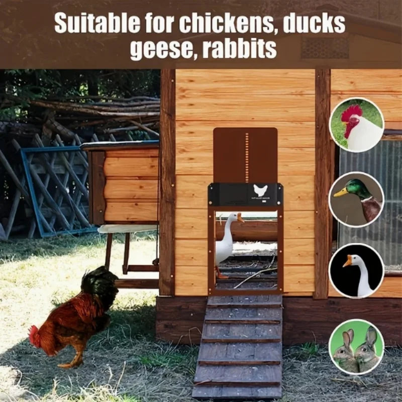 Automatic Chicken Coop Door Opener Battery Powered Light Sense Control Waterproof Pet Flap Accessories Upgrade ABS House Gate