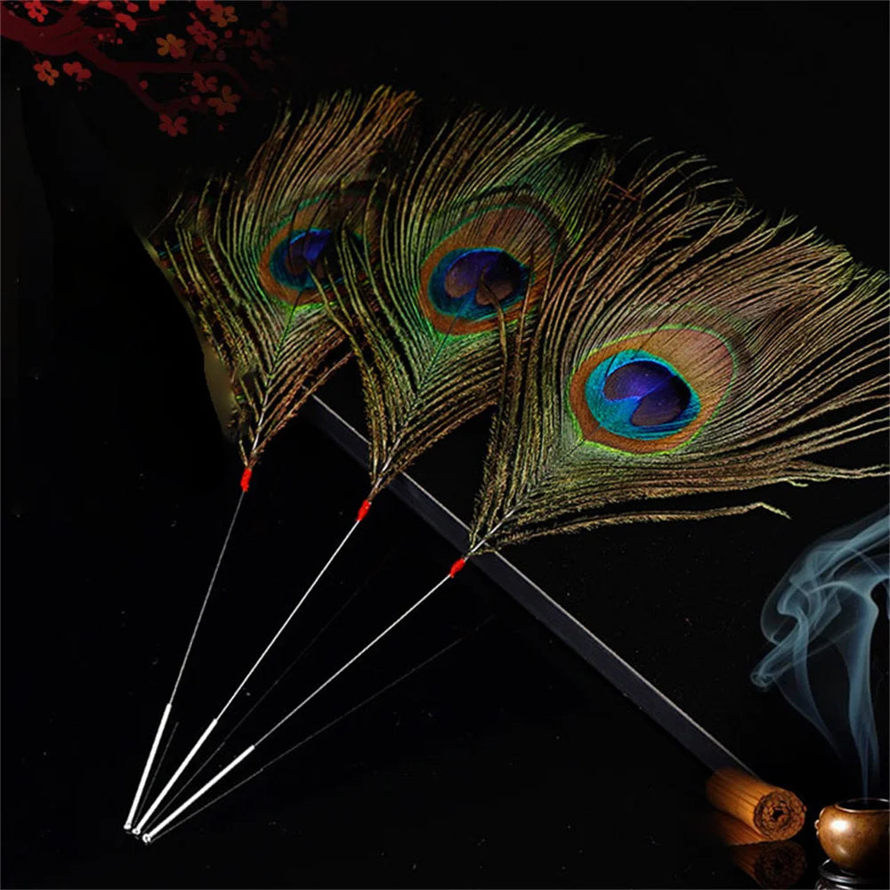 Silver Needle Peacock Feather Ear Dig Tools Earpick Cleaner Stick Sweeping Wax Remover Face Facial Soothing Brush Message