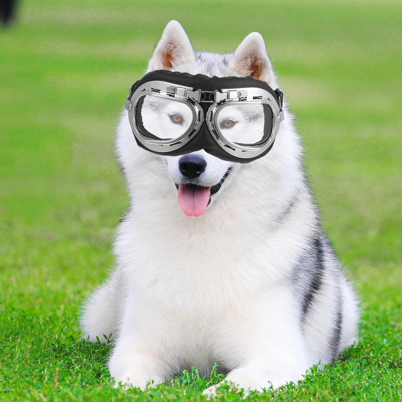Pet Sunglasses For Dogs Cats Lightweight Durable Party Photo Props, Uv Protective Eye Wear Transparent Pet Glasses