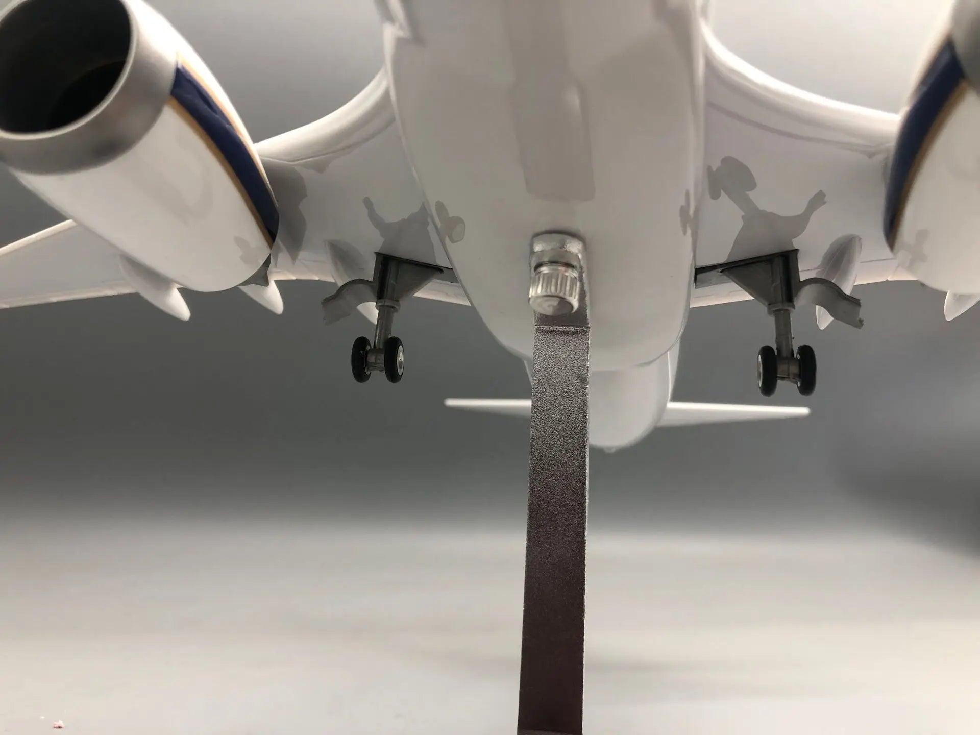 Airplane Models 737 Thai Presidential Plane 47cm with Lights and Wheels Simulation Static Model Souvenir Hobby Collection Toy