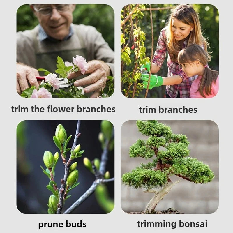 Bonsai Pruning Shears Set Gardening Ball Joint Scissors Repair Burl Tree Node Branch Flower Hand Pruner Portable Trimming Tools