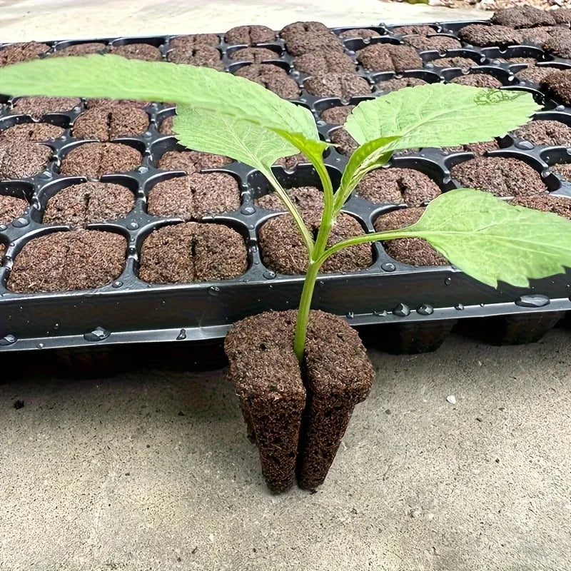 Hydroponic Rapid Grow Rooting Seed Starter Sponges for Orchid Stem-Cutting Plants, Seed Plugs for 105 & 128 Holo Nursery Trays
