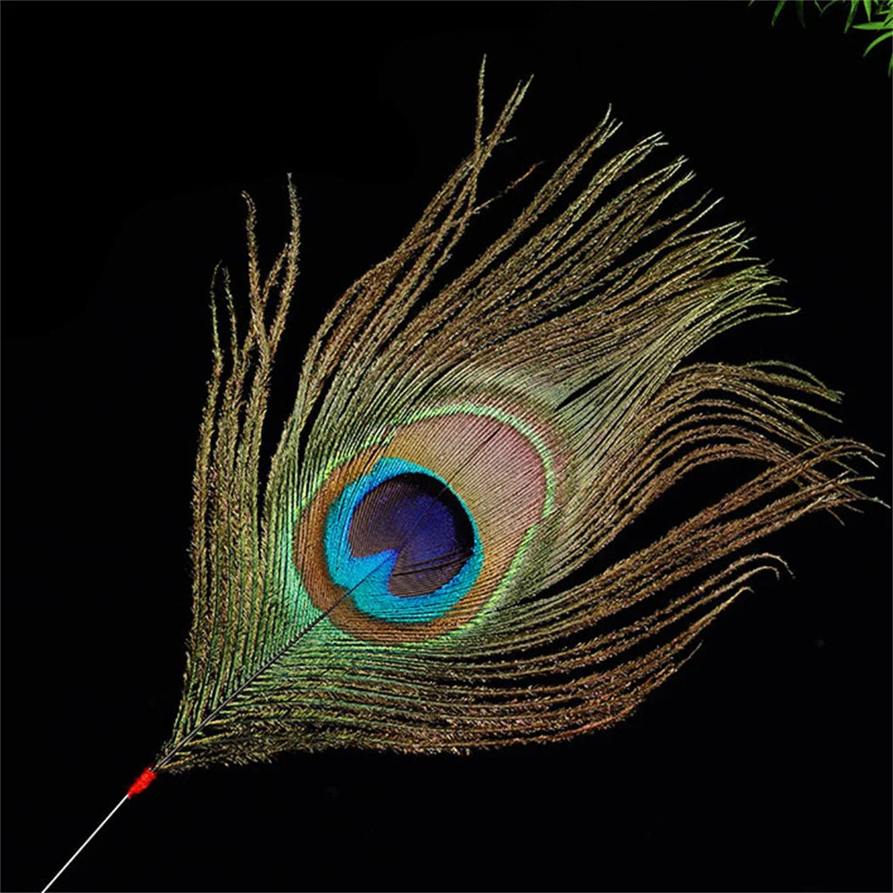 Silver Needle Peacock Feather Ear Dig Tools Earpick Cleaner Stick Sweeping Wax Remover Face Facial Soothing Brush Message