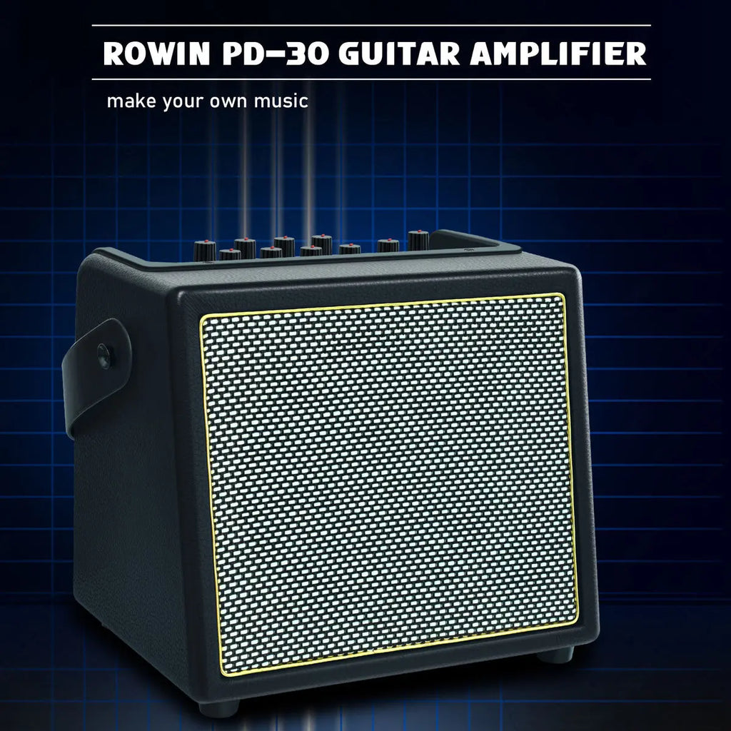 Rowin 15W PE-10S 30W PD-30 Bass Guitar Amplifier Multi-Function OTG BT Battery Buildin Combo Amp Reverb Chorus Multi effect