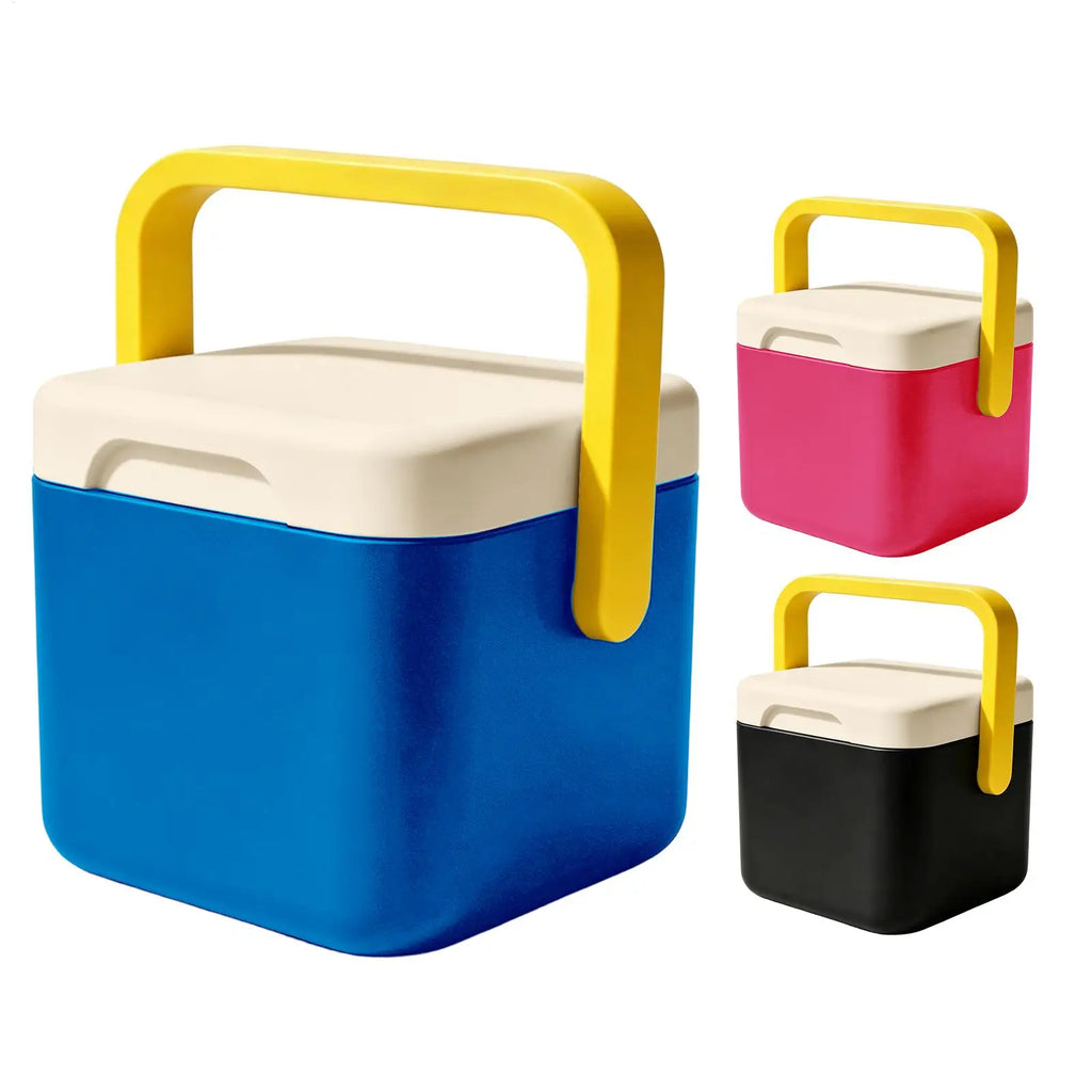 Cooler for Camping Insulated Cooling Case Fit 12 oz Can Portable Cooler with Handle for Office Beach Picnic Party Delivery Bar