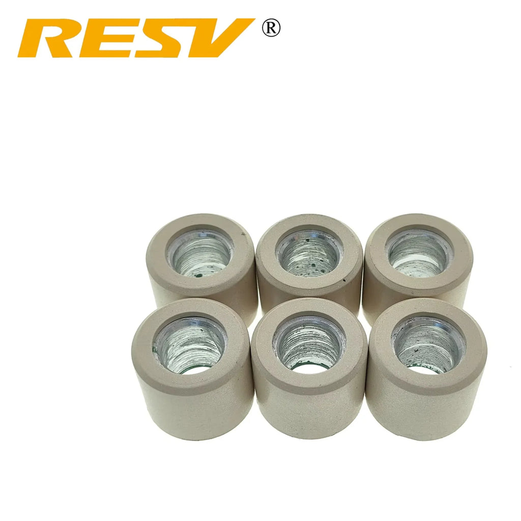 RESV 16g for Sym RV250 CityCom 300i Joymax GTS Quadlander 250cc 300cc Variator Racing Roller Beads Set 6pcs